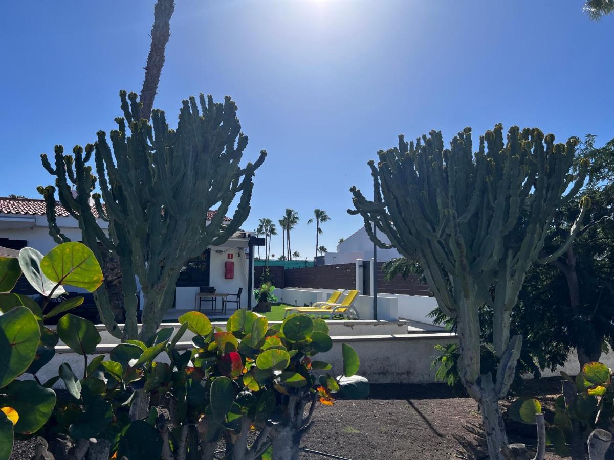 Escarabajo Bungalow Il Maggiolino Μασπαλόμας Εξωτερικό φωτογραφία